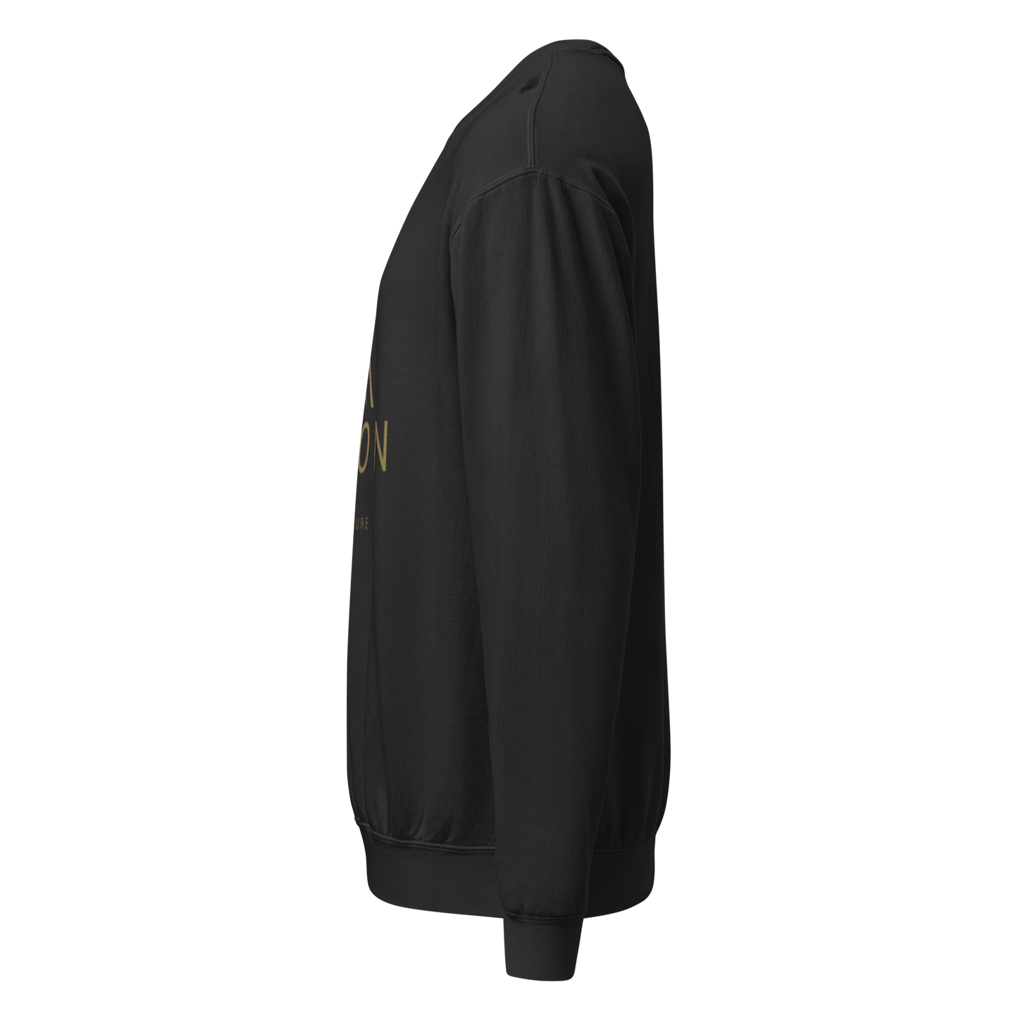 Oversized Organic Crewneck — ELYON