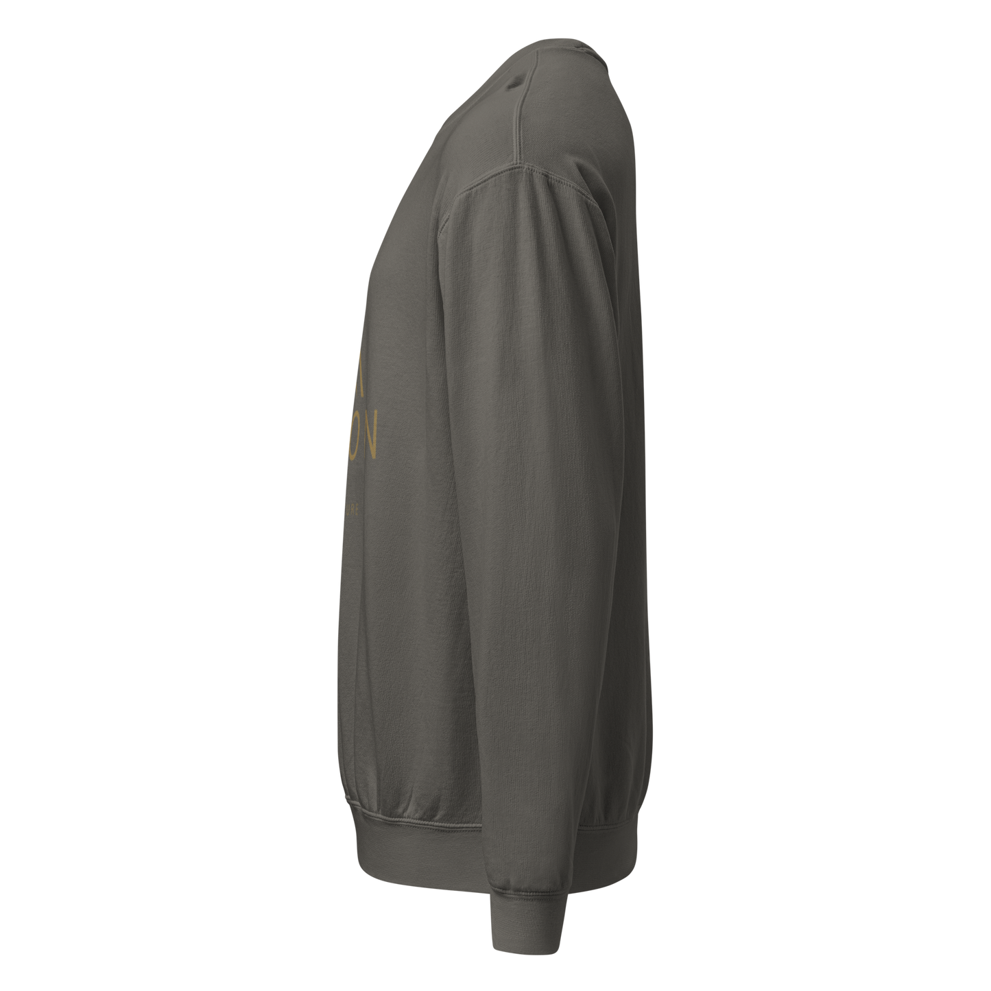Oversized Organic Crewneck — ELYON